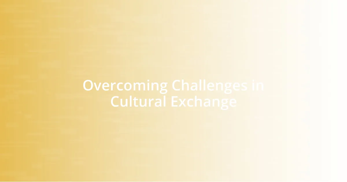 Overcoming Challenges in Cultural Exchange