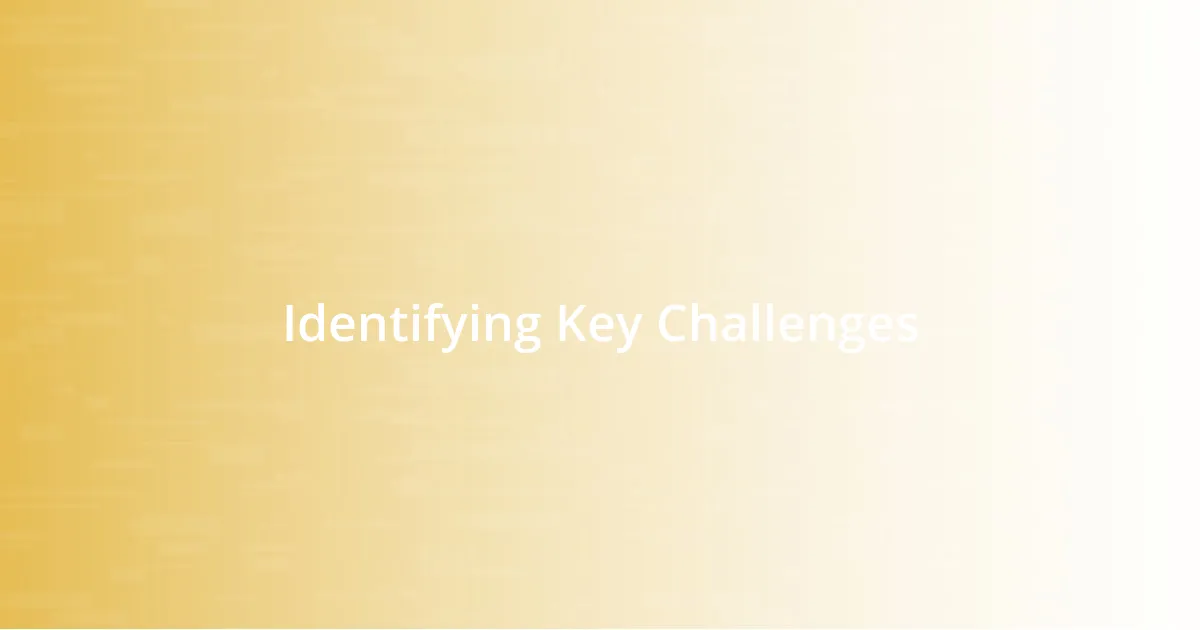 Identifying Key Challenges